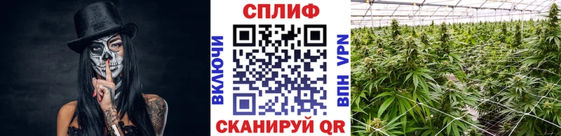 Наркошоп купить Alpha-PVP АМФЕТАМИН Меф мяу мяу Белозерск
