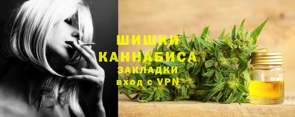 ПСИЛОЦИБИНОВЫЕ ГРИБЫ Лабытнанги