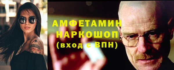амф Ладушкин