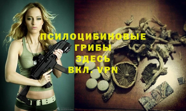 mdpv Лихославль
