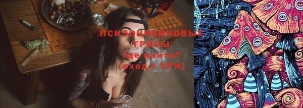 ПСИЛОЦИБИНОВЫЕ ГРИБЫ Лабытнанги