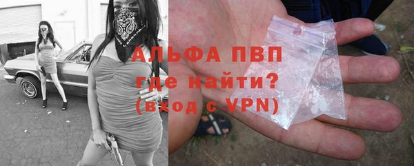 ПСИЛОЦИБИНОВЫЕ ГРИБЫ Лабытнанги