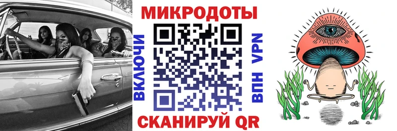 Купить  Белозерск  Псилоцибиновые грибы Cubensis 